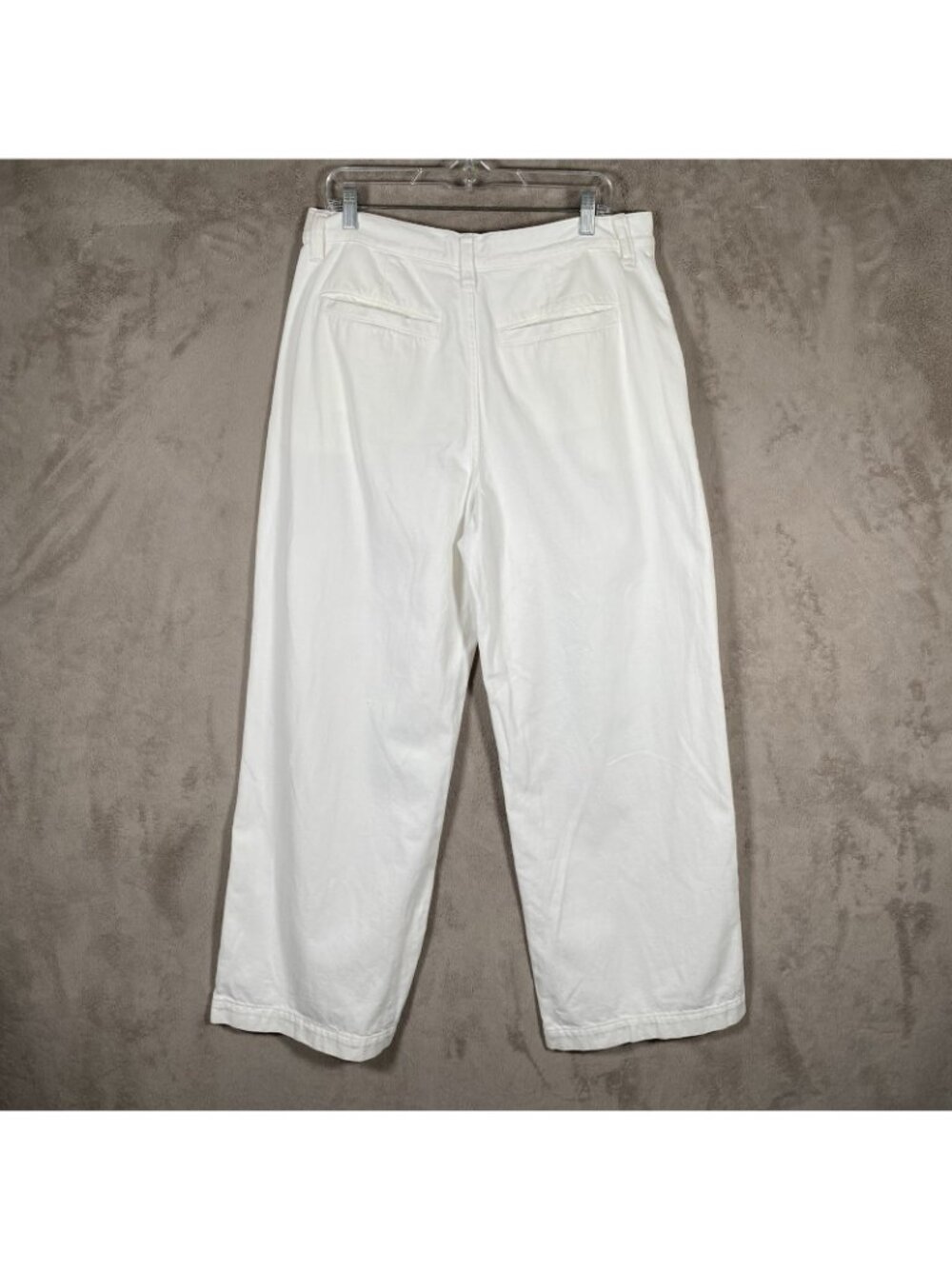 Madewell Harlow Wide Leg Jeans 30 Pleated Baggy High Rise Airy Denim White Pants - Picture 8 of 16